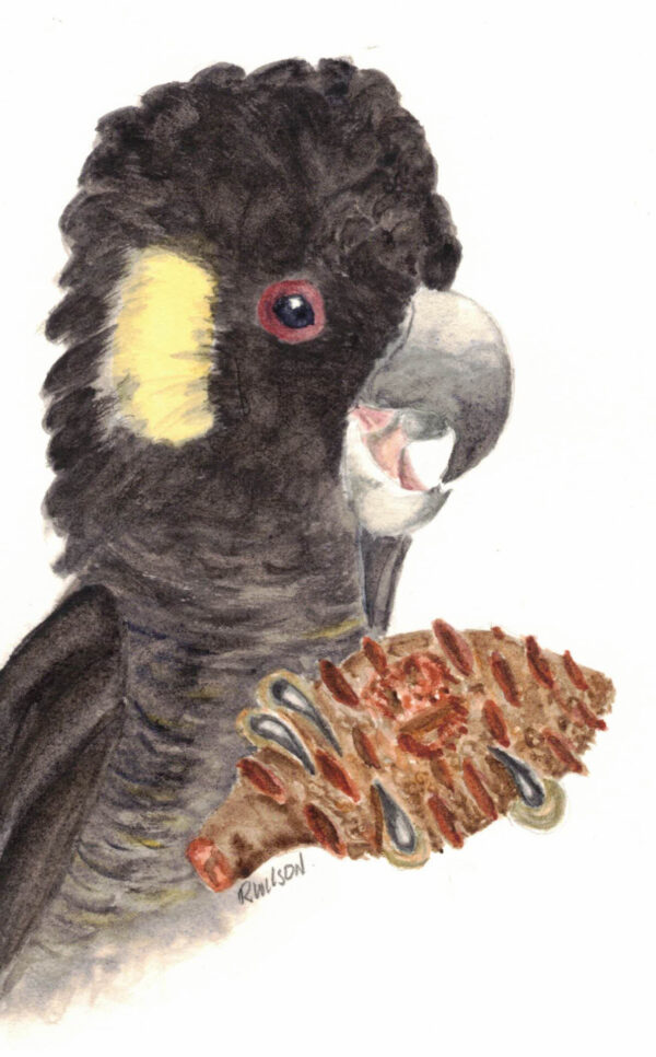 Gift cards - Image 3